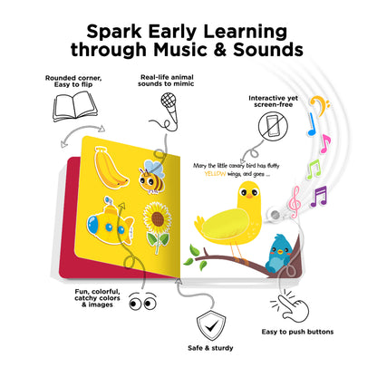 Ditty Bird (USB-C) - Touch the Colors